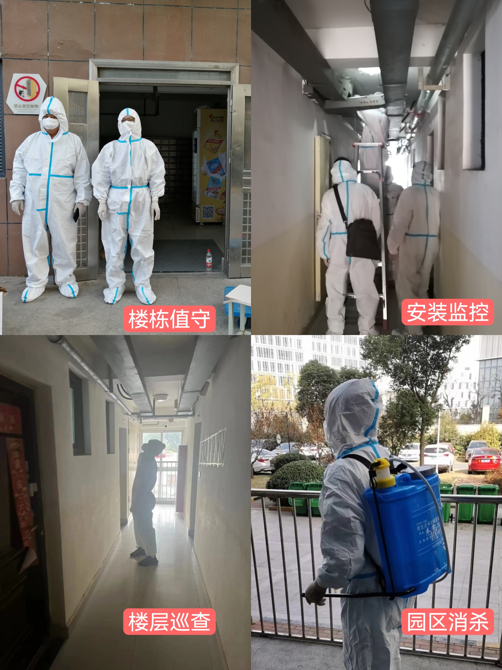PP电子5金狮·(中国区)游戏官方网站