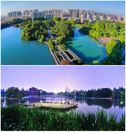 PP电子5金狮·(中国区)游戏官方网站