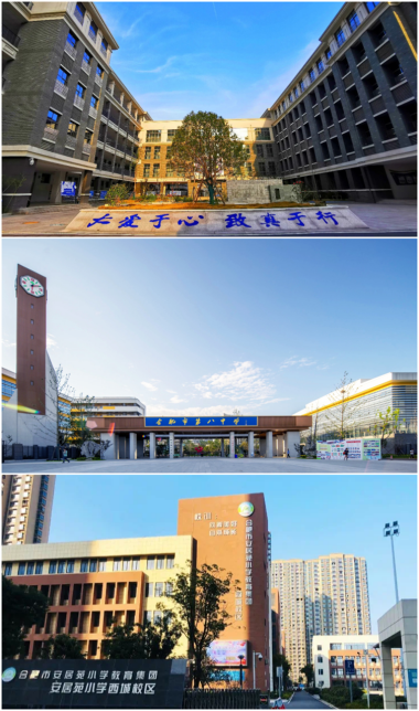 PP电子5金狮·(中国区)游戏官方网站