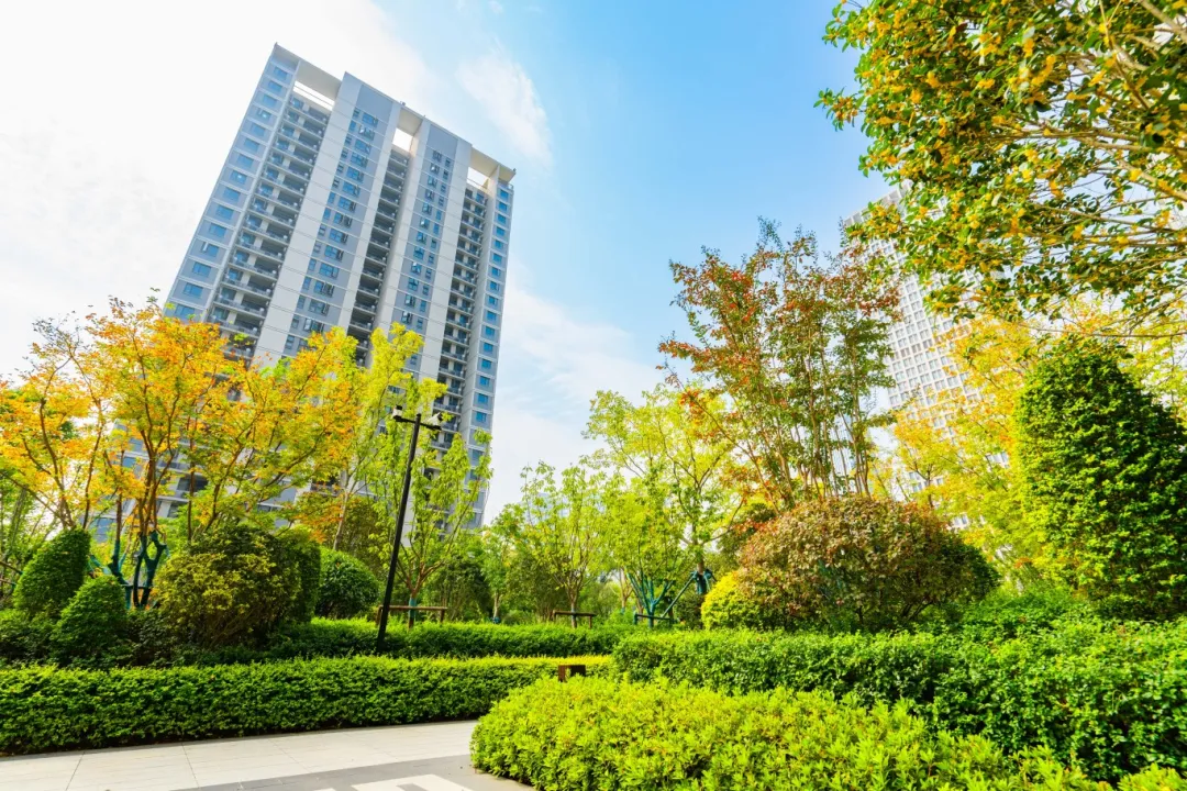 PP电子5金狮·(中国区)游戏官方网站